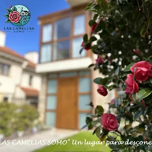 Nuevo!!! 5 Min Andando La Playa!! Camelias Reformado Totalmente Somo